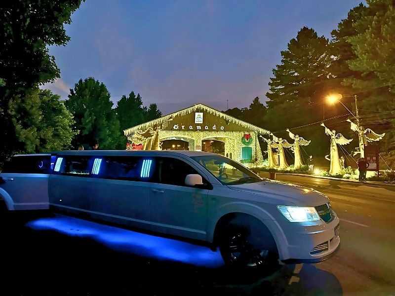 LIMOUSINES | até 10 pessoas